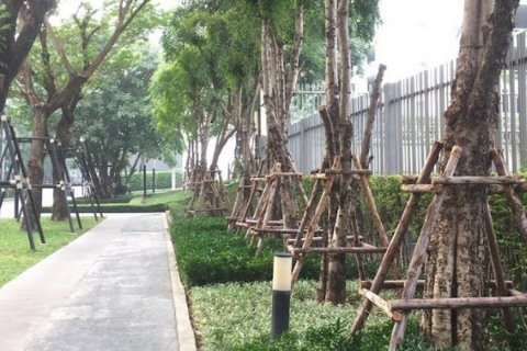 Off-Plan Aspire Rattanatibet 2 in Nonthaburi, Thailand № 36307 - Foto 9