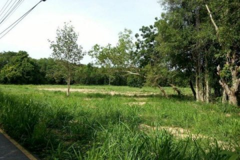 Terreno en Pattaya, Tailandia № 8233 - foto 7