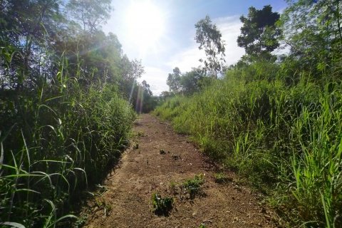 Terreno en Pattaya, Tailandia № 8881 - foto 12