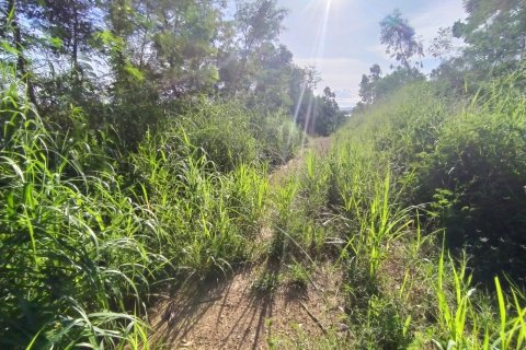 Terreno en Pattaya, Tailandia № 8881 - foto 11