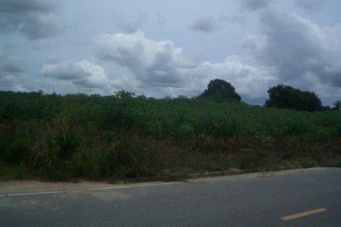 Terreno en Pattaya, Tailandia № 8348 - foto 3