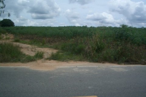 Terreno en Pattaya, Tailandia № 8348 - foto 5