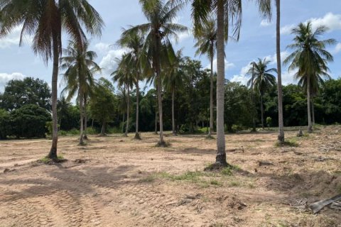 Terreno en Bang Lamung, Tailandia № 8372 - foto 11