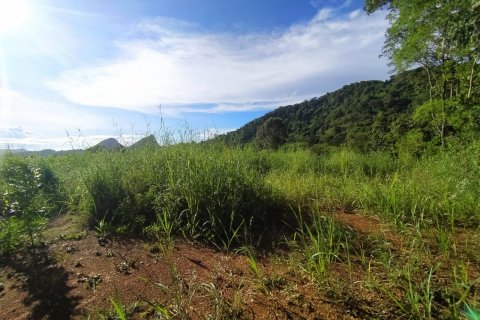 Terreno en Pattaya, Tailandia № 8881 - foto 8