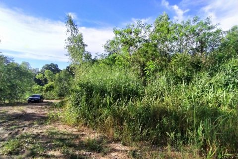 Terreno en Pattaya, Tailandia № 8881 - foto 14