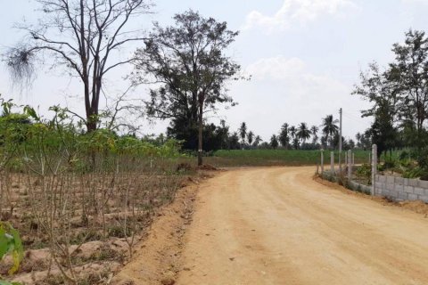 Terreno en Bang Lamung, Tailandia № 8370 - foto 8