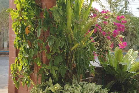 Casa de 3 dormitorios en Chon Buri, Tailandia № 9055 - foto 5