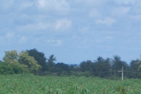 Terreno en Pattaya, Tailandia № 8348 - foto 4