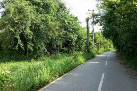 Terreno en Pattaya, Tailandia № 8233 - foto 8