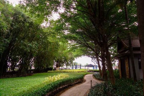 Gardens 15 minutes from home all over Bangkok
