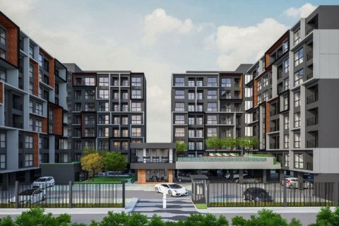 Sobre plano The Excel Groove en Bangkok, Tailandia № 29216