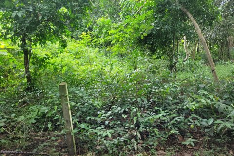 Terreno en Bang Lamung, Tailandia № 43661 - foto 7