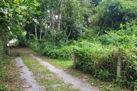 Terreno en Bang Lamung, Tailandia № 43661 - foto 12