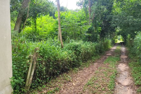 Terreno en Bang Lamung, Tailandia № 43661 - foto 6