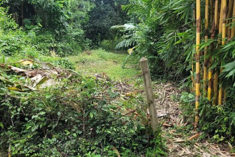 Terreno en Bang Lamung, Tailandia № 43661 - foto 13