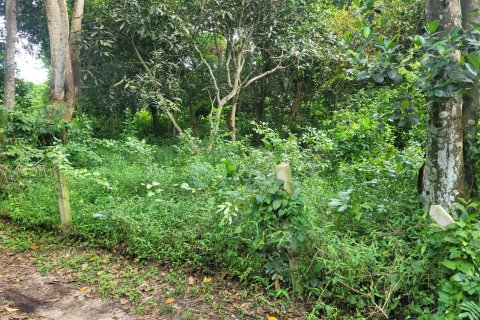 Terreno en Bang Lamung, Tailandia № 43661 - foto 8