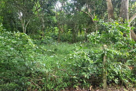 Terreno en Bang Lamung, Tailandia № 43661 - foto 10