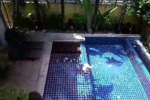 Casa de 4 dormitorios en Pattaya, Tailandia № 45547 - foto 9