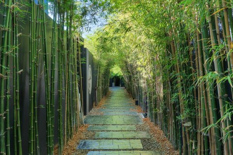 Sobre plano Villoft Zen Living en Phuket, Tailandia № 46169 - foto 10