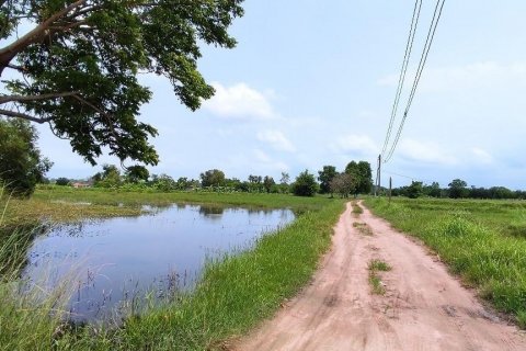 Terrain à Bang Lamung, Thaïlande 4852 m2 № 38081 - photo 2