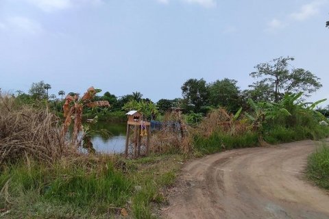 Земельный участок в Банг Ламунге, Таиланд 4852м2  № 38081 - фото 6