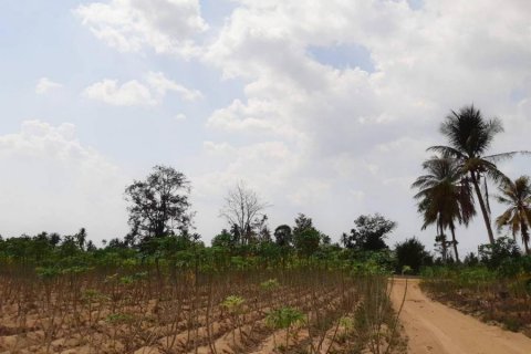 Land in Bang Lamung, Thailand № 8370 - photo 2