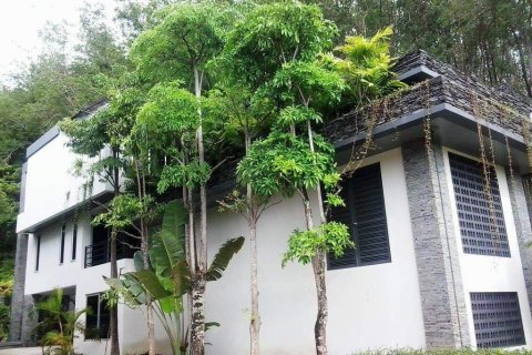 Villa in Bang Tao, Thailand 4 bedrooms № 5395 - photo 6