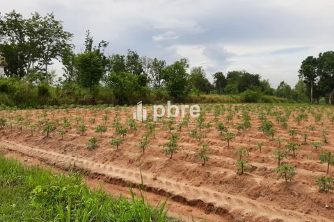 Land in Bang Lamung, Thailand 19200 sq.m. № 37605 - photo 2