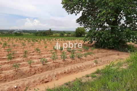 Land in Bang Lamung, Thailand 19200 sq.m. № 37605 - photo 3