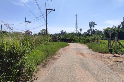 Land in Bang Lamung, Thailand 3936 sq.m. № 38315 - photo 1