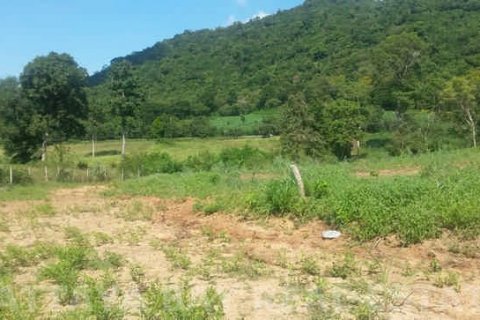 Land in Bang Lamung, Thailand 9600 sq.m. № 37626 - photo 2