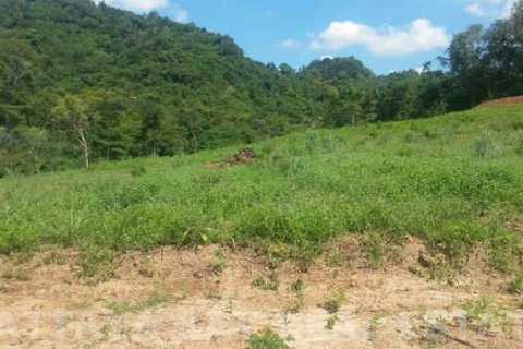 Land in Bang Lamung, Thailand 9600 sq.m. № 37626 - photo 5