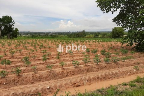 Land in Bang Lamung, Thailand 19200 sq.m. № 37605 - photo 4