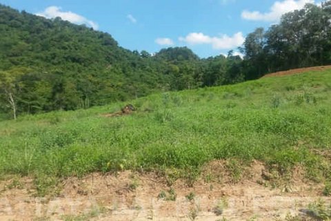 Land in Bang Lamung, Thailand 9600 sq.m. № 37626 - photo 1