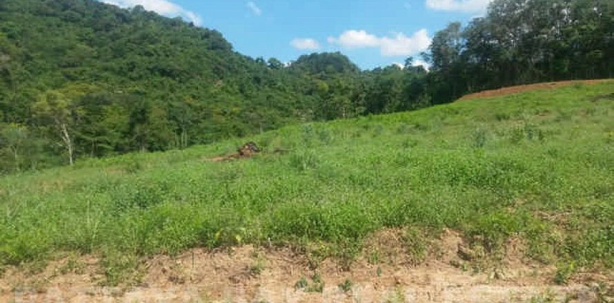 Land in Bang Lamung, Thailand 9600 sq.m. № 37626