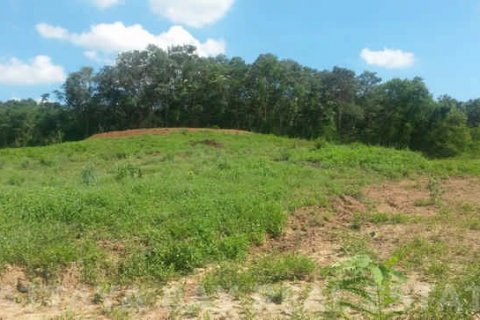 Land in Bang Lamung, Thailand 9600 sq.m. № 37626 - photo 3