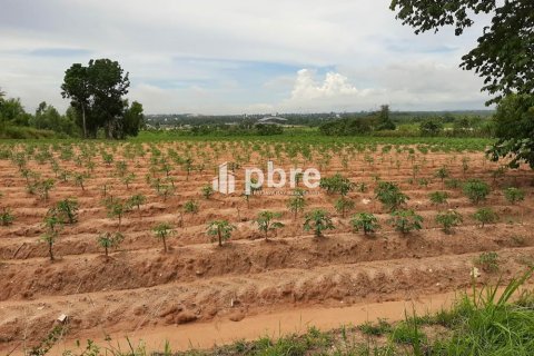 Land in Bang Lamung, Thailand 19200 sq.m. № 37605 - photo 6