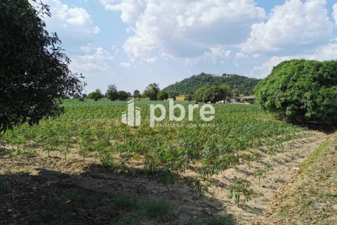 Land in Sattahip, Thailand 81804 sq.m. № 37601 - photo 3