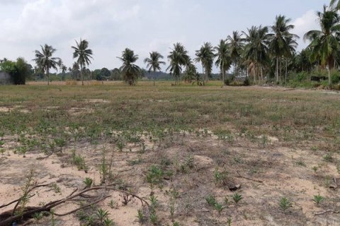 Land in Bang Lamung, Thailand 10494 sq.m. № 38298 - photo 2