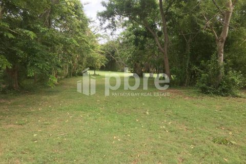 Land in Bang Lamung, Thailand 116340 sq.m. № 37607 - photo 13