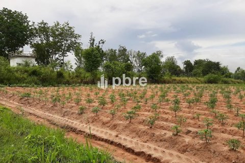 Land in Bang Lamung, Thailand 19200 sq.m. № 37605 - photo 5