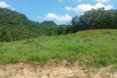 Land in Bang Lamung, Thailand 9600 sq.m. № 37626 - photo 4