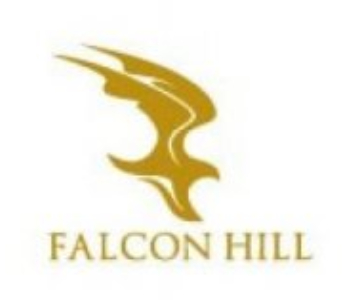 Falcon Hill Development Limited