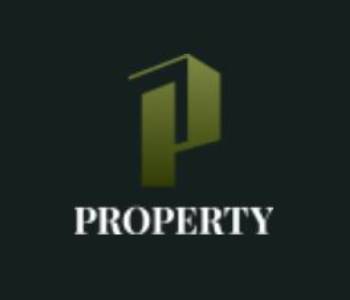 P Property and Development Co., Ltd.